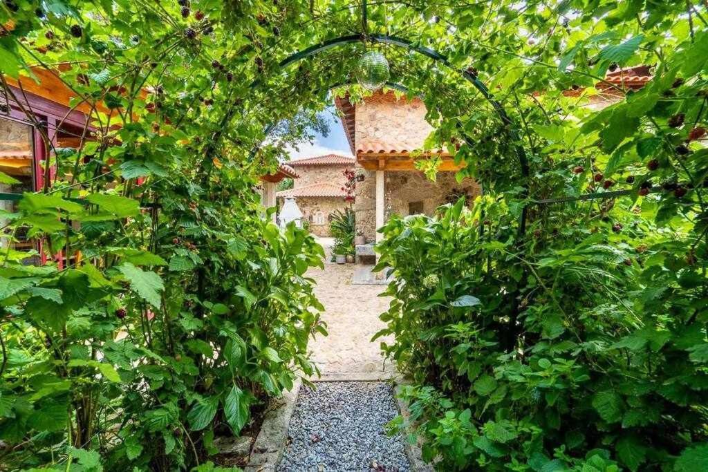 Casas Casal Do Carvalhal - Agroturismo Amares Eksteriør billede